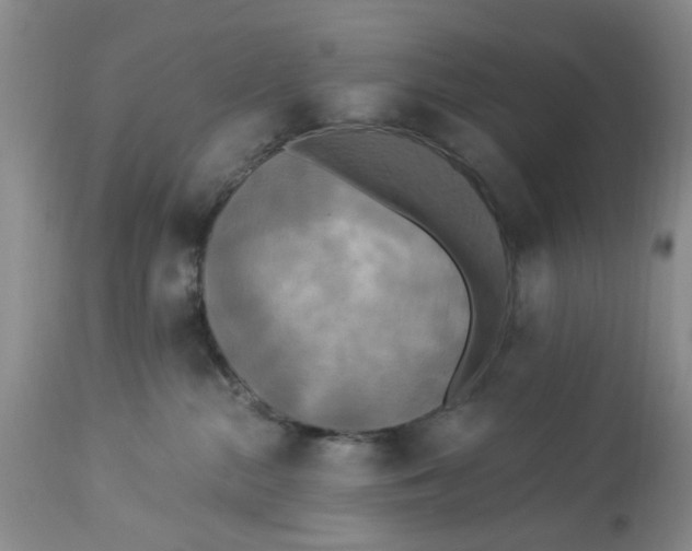 X0000112820284200909111330