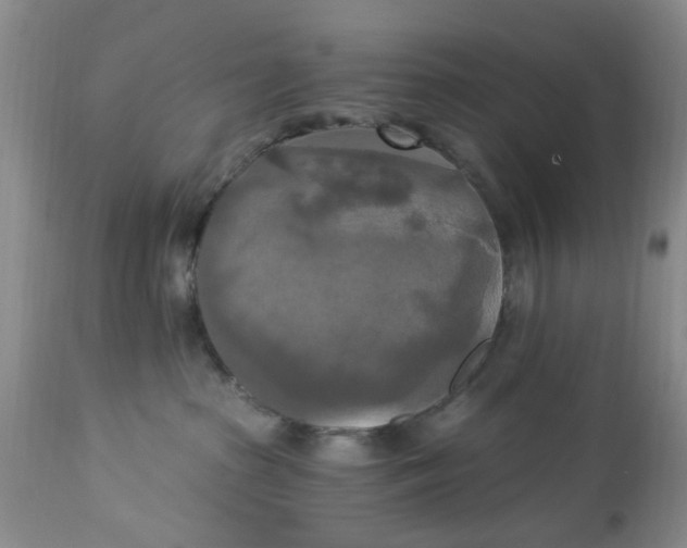 X0000112820285200909111330