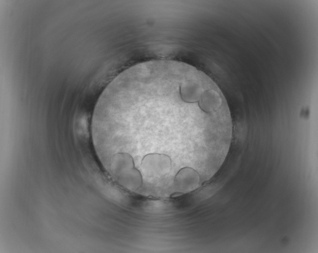 X0000112820286200909111330