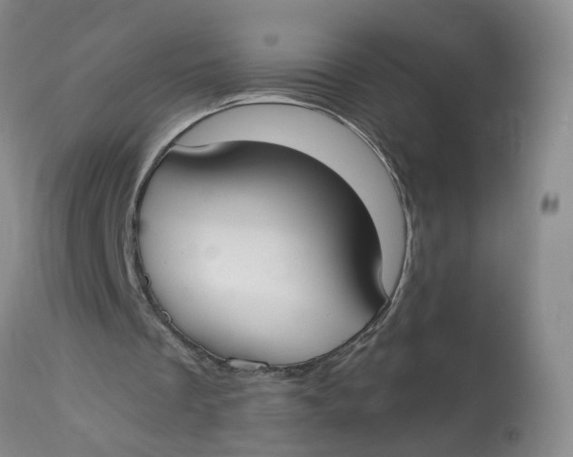 X0000112820289200909111329