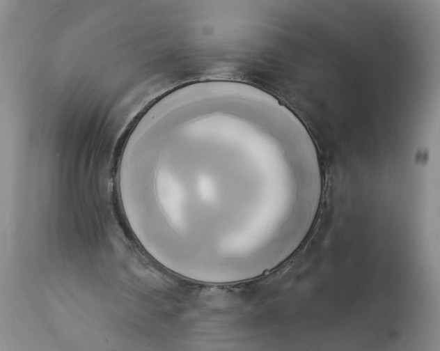 X0000112820290200909111329