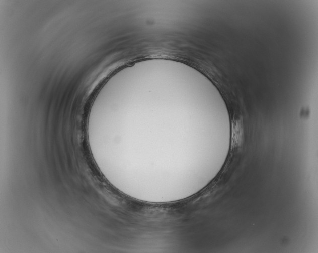 X0000112820291200909111329