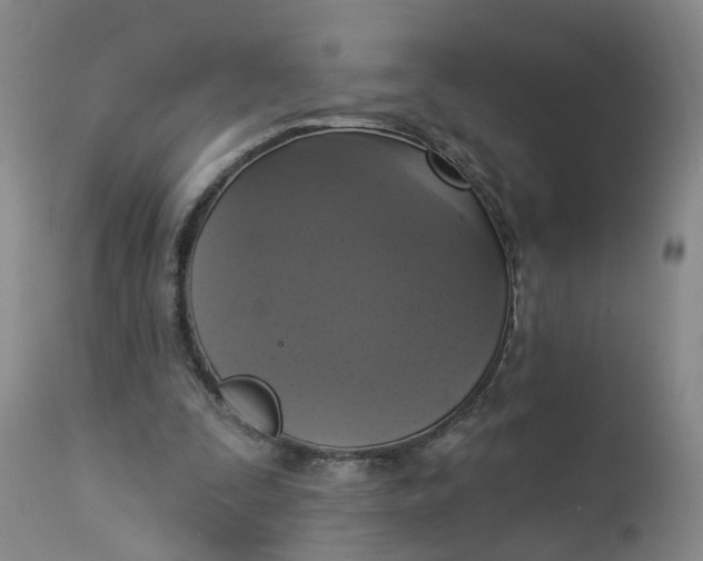 X0000112820295200909111329