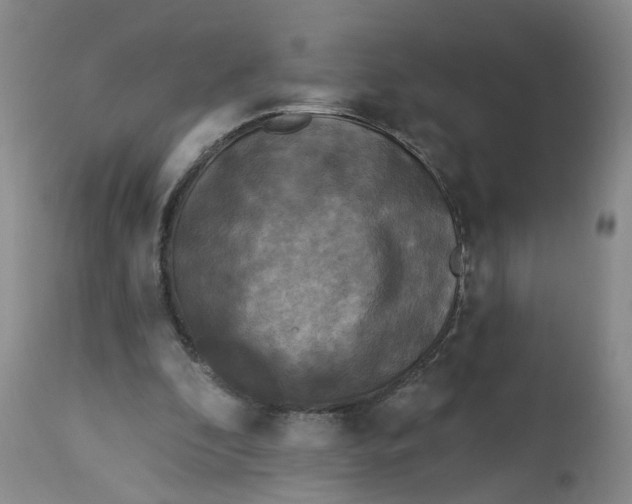 X0000112820296200909111329