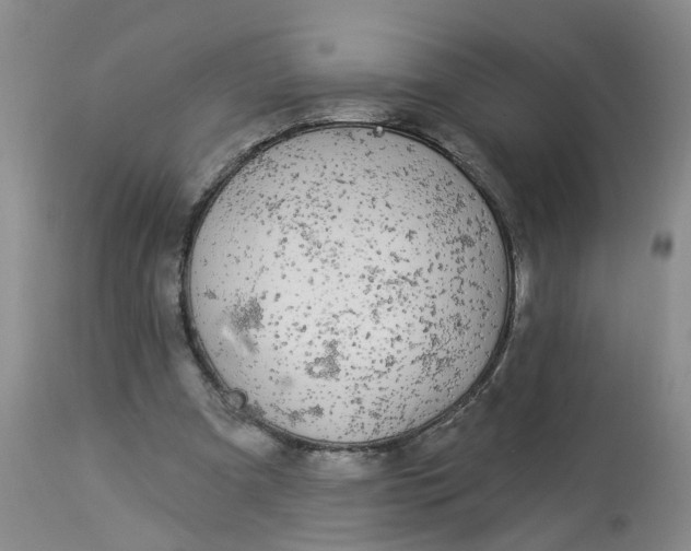 X0000112820297200909111329