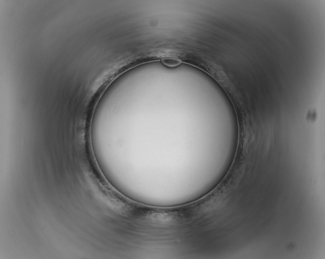 X0000112820299200909111329