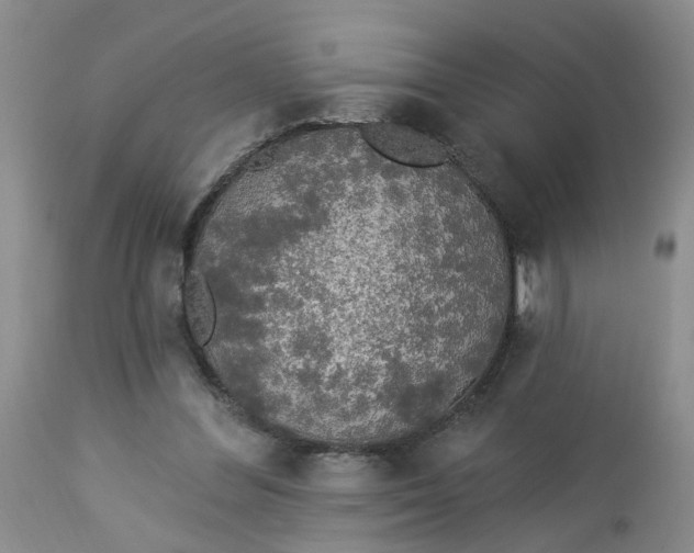 X0000112820300200909111329