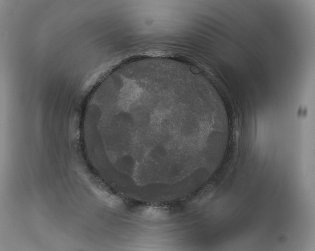 X0000112820303200909111329