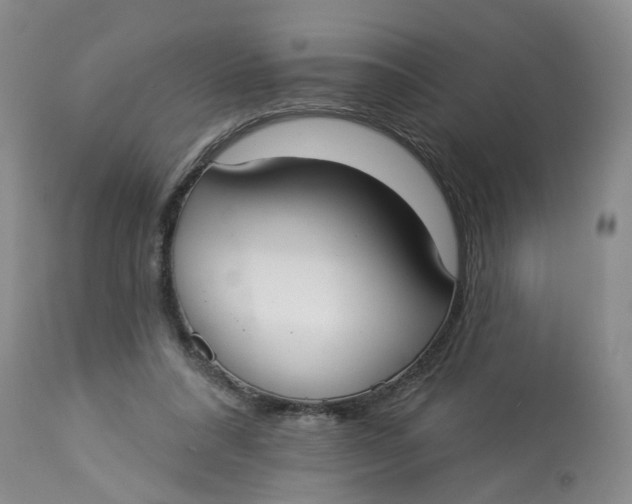 X0000112820304200909111329