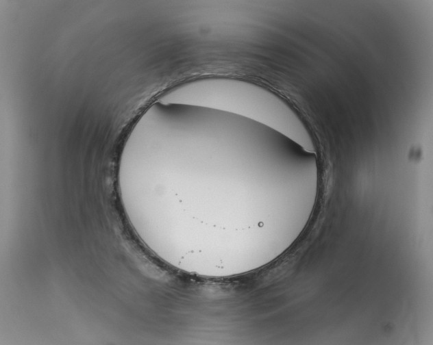 X0000112820305200909111329