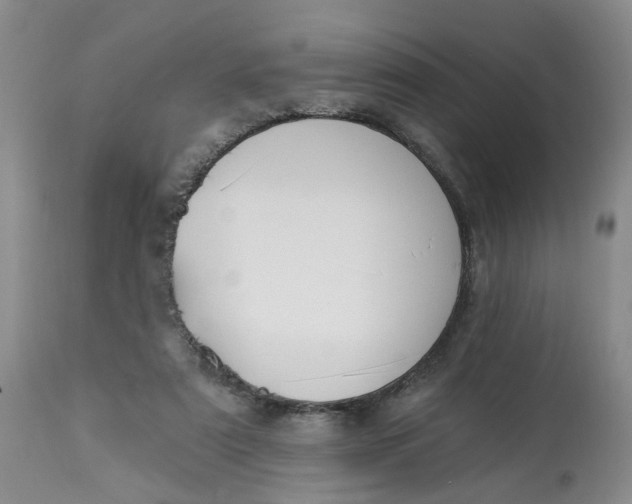 X0000112820307200909111329