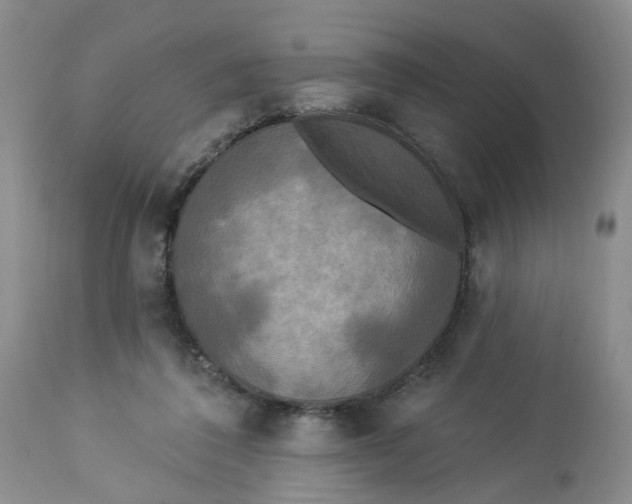 X0000112820308200909111329