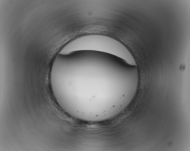 X0000112820309200909111329