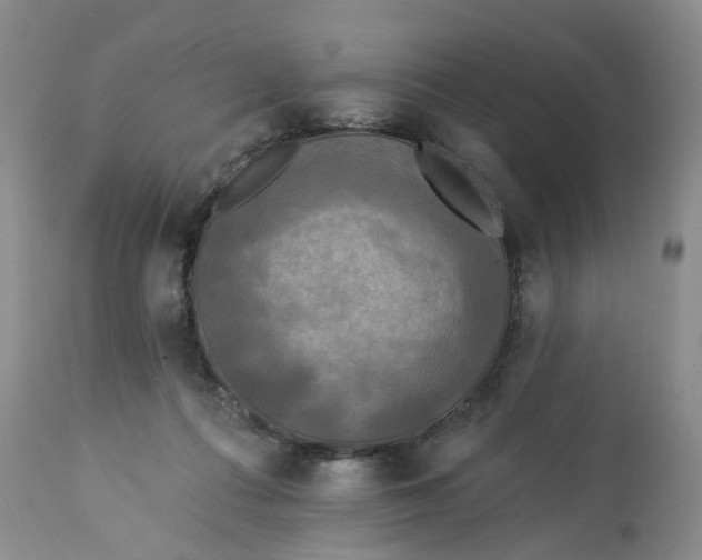 X0000112820312200909111329