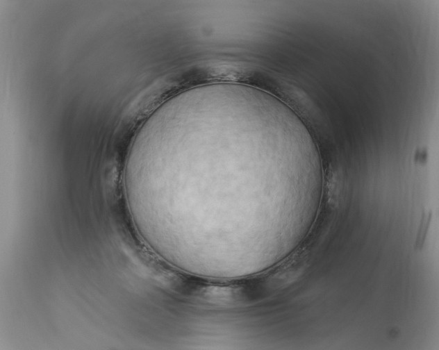 X0000112820314200909111329