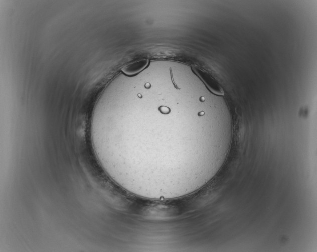 X0000112820315200909111329