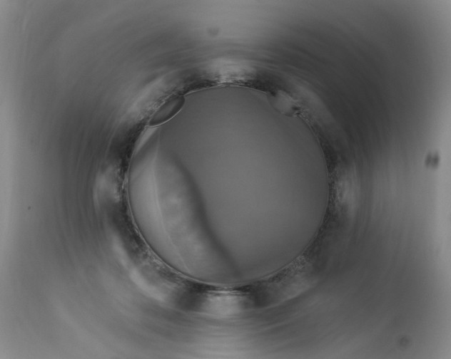 X0000112820316200909111329