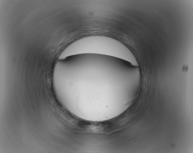 X0000112820317200909111329