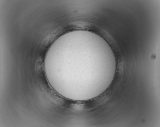 X0000112820318200909111329