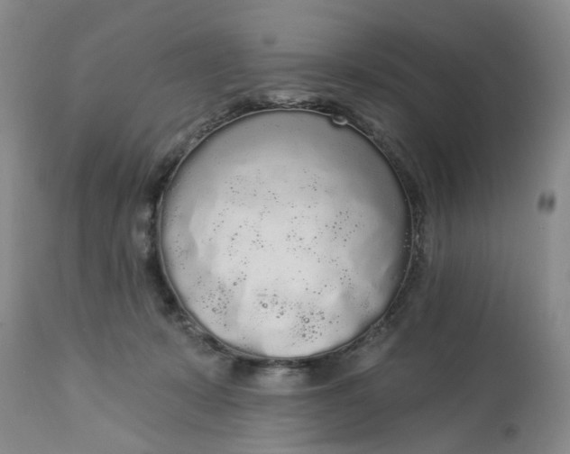 X0000112820319200909111329