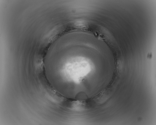 X0000112820320200909111329