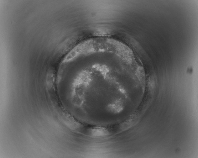 X0000112820322200909111329