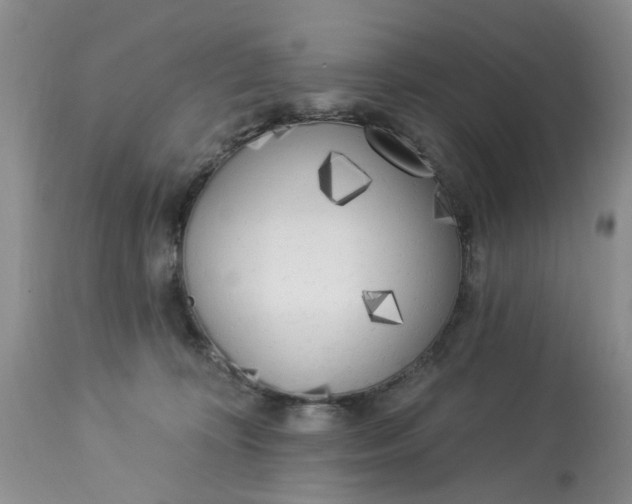 X0000112820324200909111328