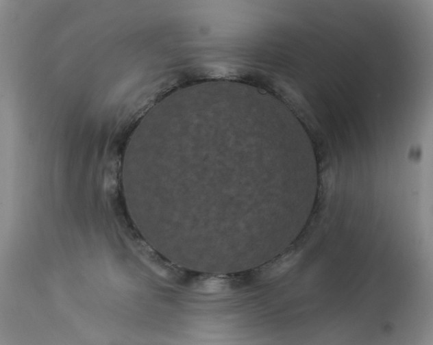 X0000112820325200909111328