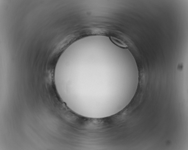 X0000112820329200909111328