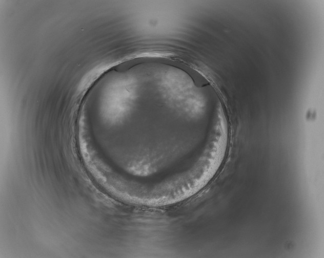 X0000112820337200909111327