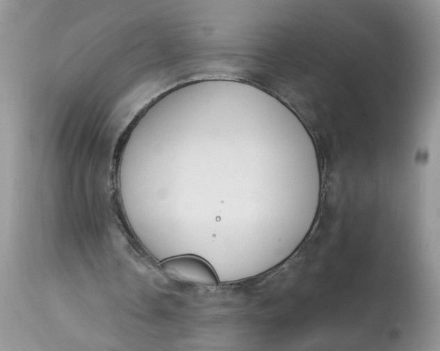 X0000112820338200909111327