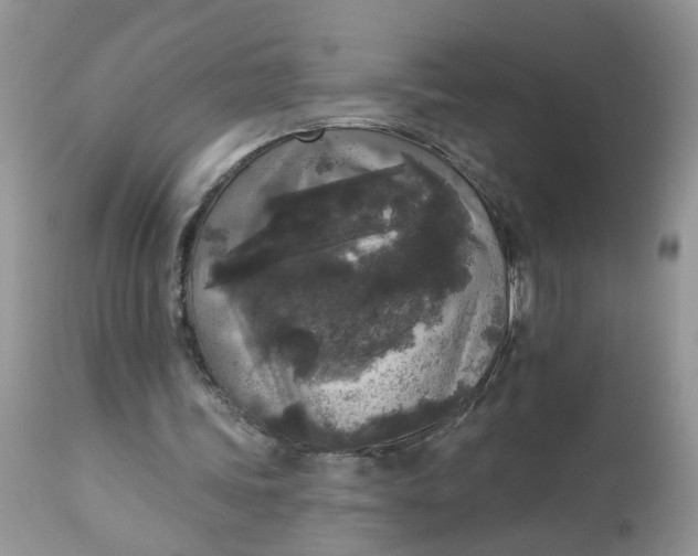 X0000112820339200909111327