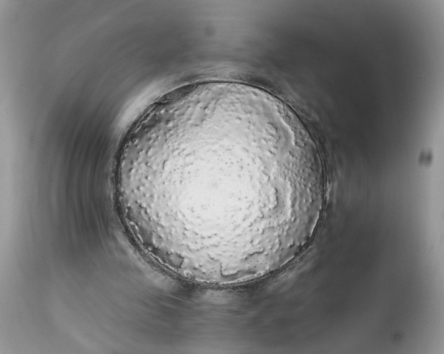 X0000112820341200909111327