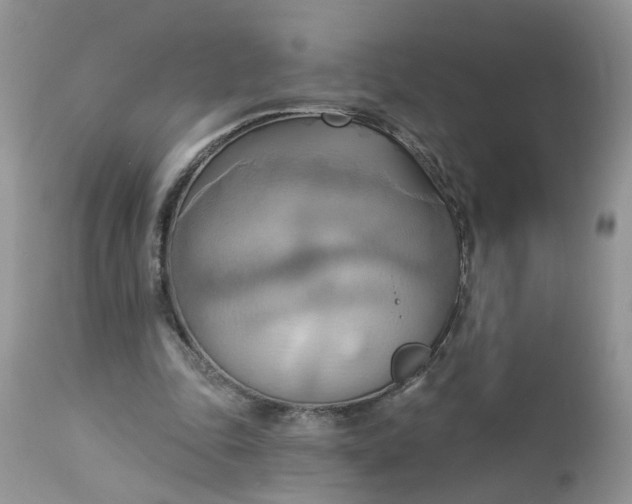 X0000112820343200909111327