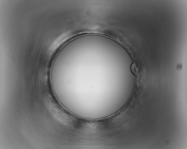 X0000112820344200909111327