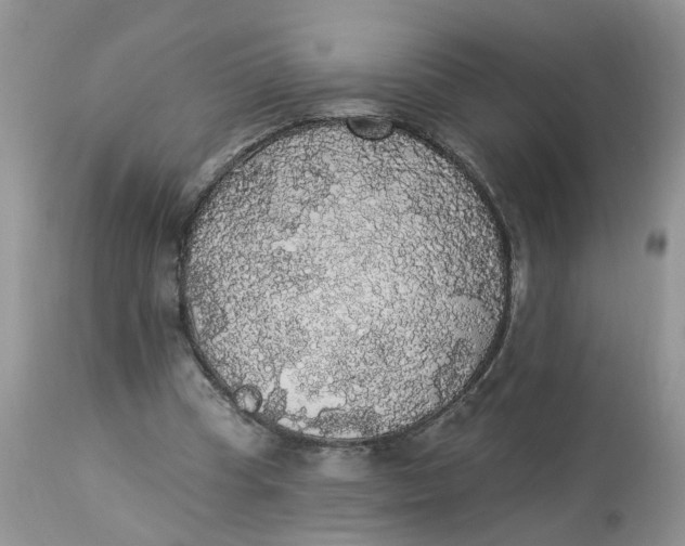 X0000112820345200909111327