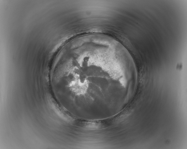 X0000112820347200909111328