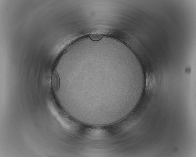 X0000112820348200909111328