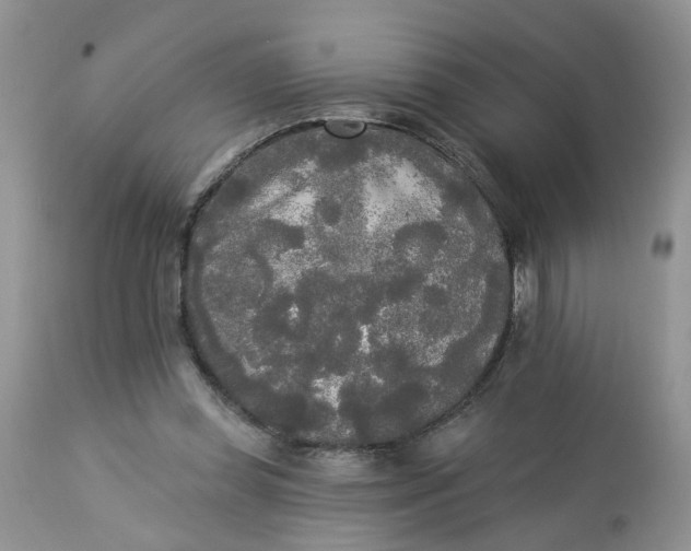 X0000112820349200909111328