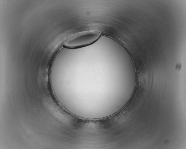 X0000112820350200909111328