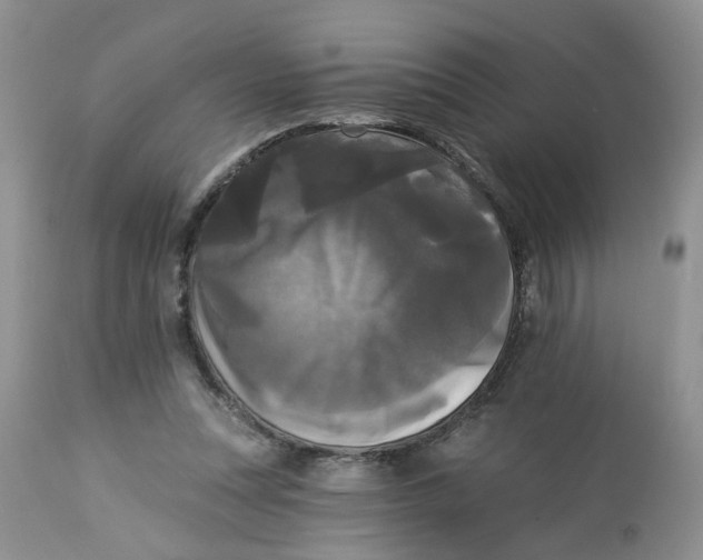 X0000112820351200909111328