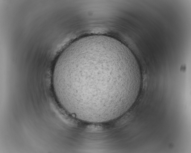 X0000112820354200909111328