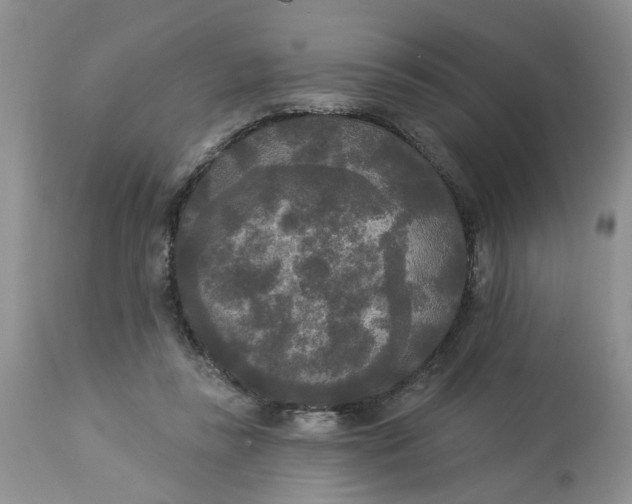 X0000112820355200909111328