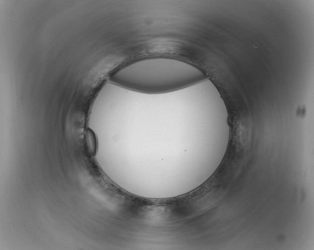 X0000112820356200909111328