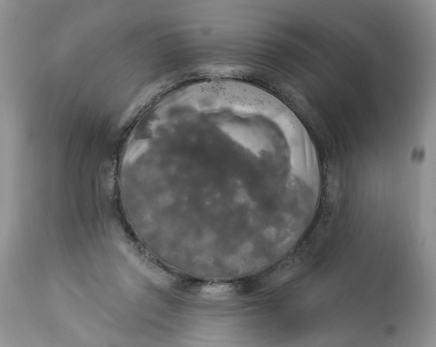 X0000112820357200909111328