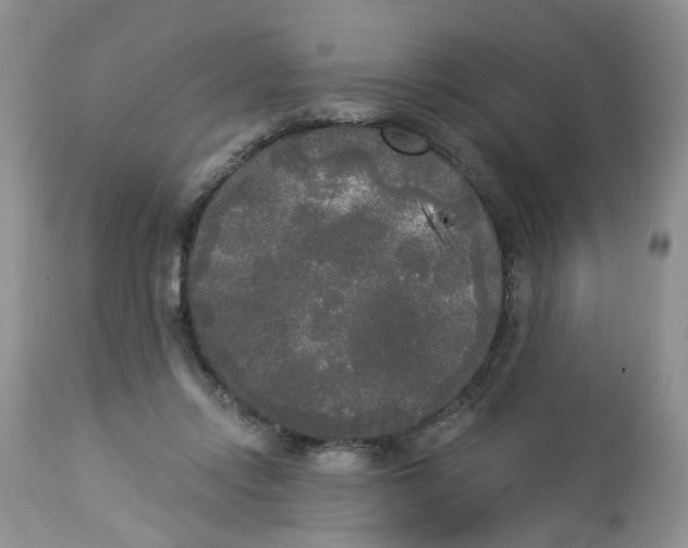 X0000112820358200909111328