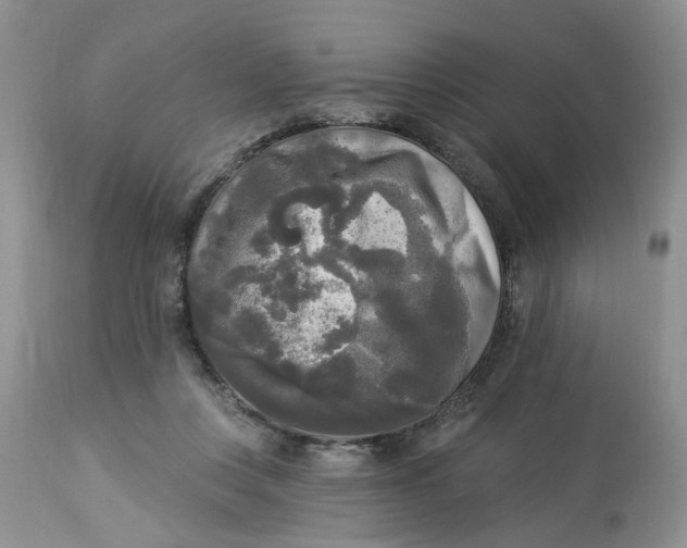 X0000112820359200909111328