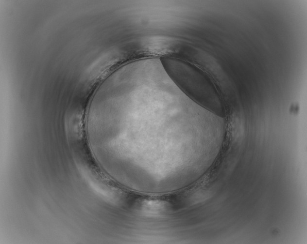 X0000112820360200909111328