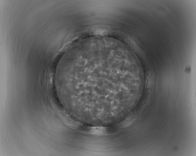 X0000112820363200909111328