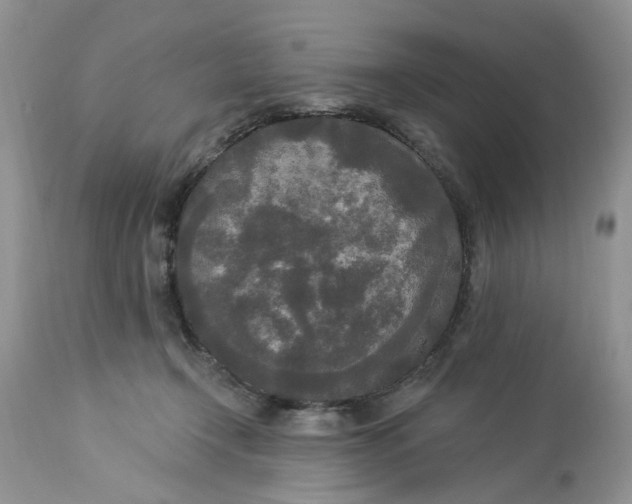 X0000112820366200909111328